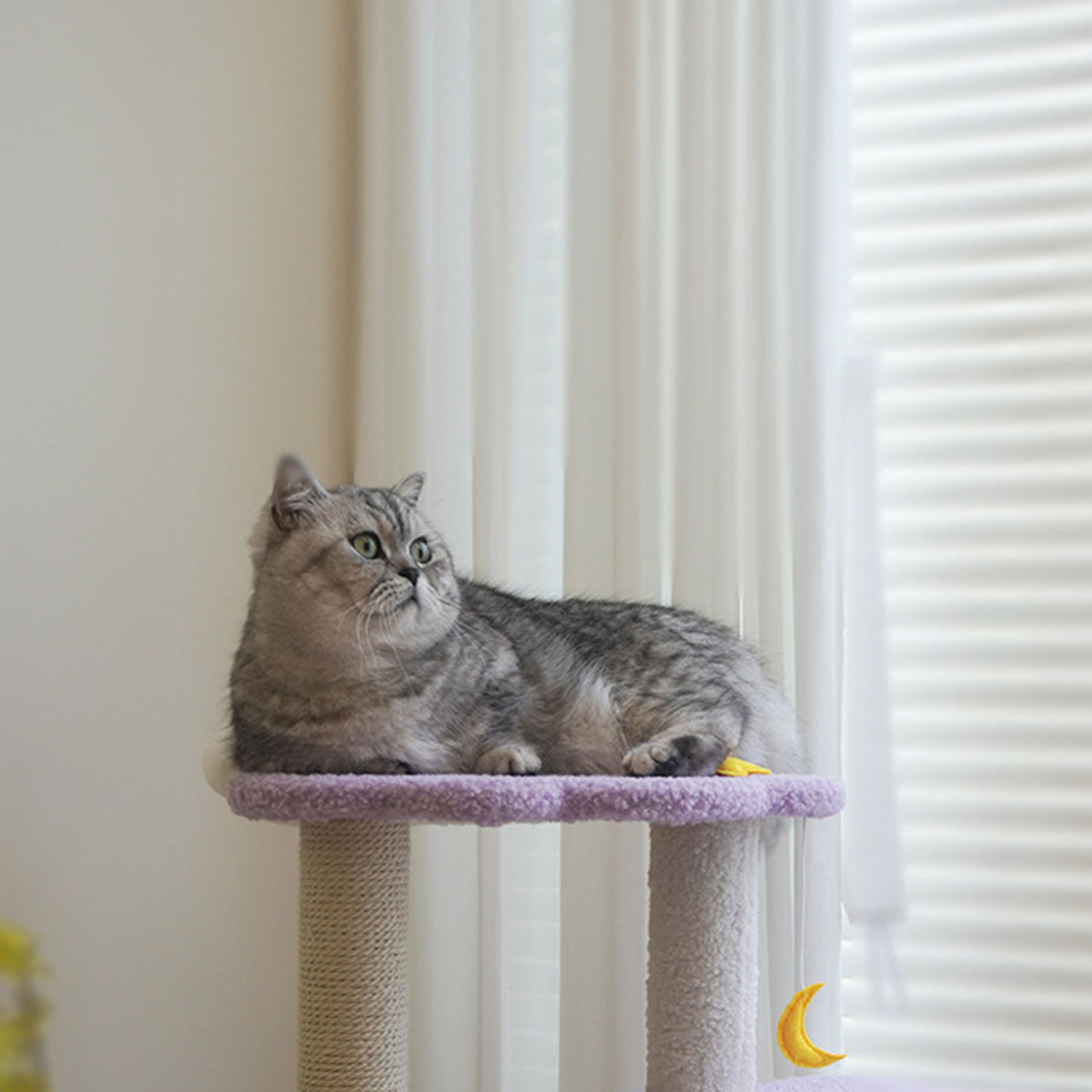 starlight-velvet-cat-condo-for-small-cats
