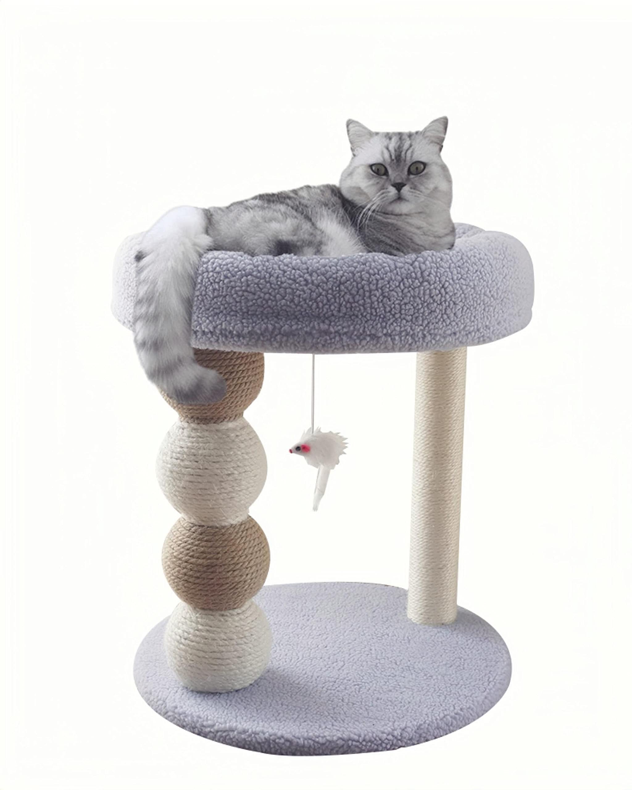 tolea-blue-plush-cat-tree-for-medium-cats