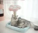 tolea-cute-cat-condo-small-cats